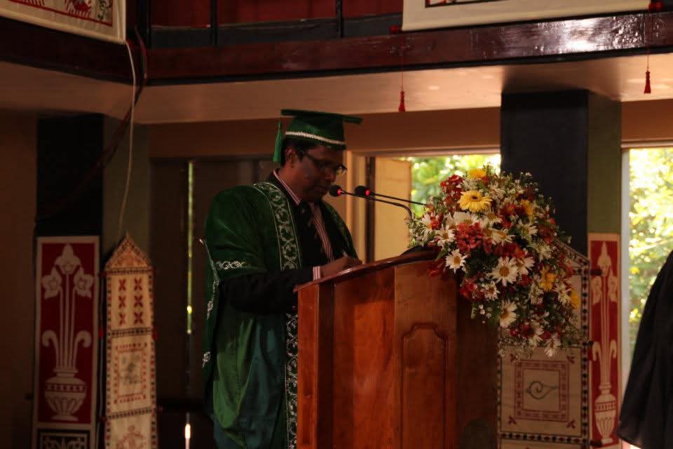 Gallery image 11